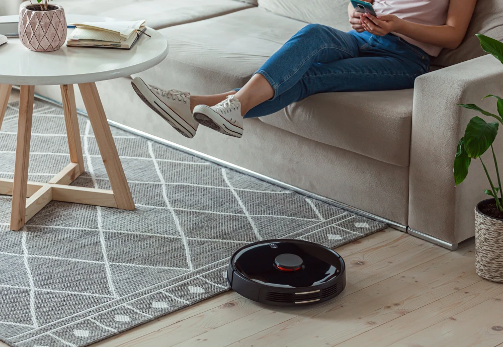 robot vacuum cleaner with smart mapping system